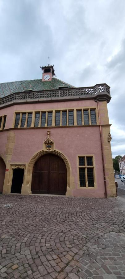 Appartement Grenier à sel Gentleman Colmar Esterno foto